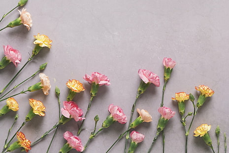 Konstgjorda, blomma, nejlika, rosa blomma, stilleben, gul blomma, HD tapet HD wallpaper