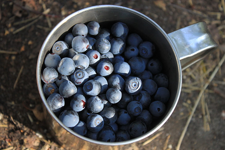 pile of blueberries, blueberries, berries, cup, HD wallpaper