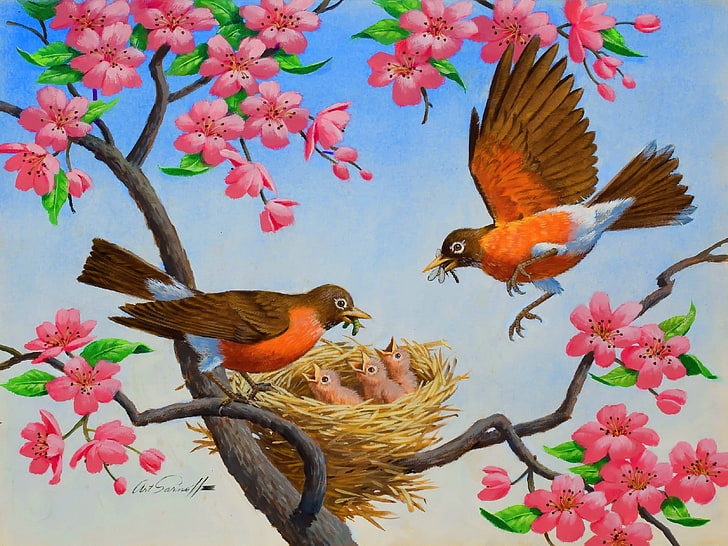 birds, drawings, flowers, nature, spring, trees, HD wallpaper