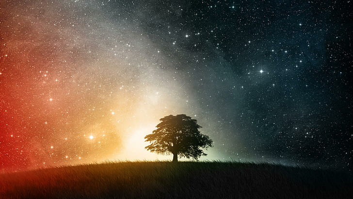 Day Vs Night, silhouette of grass field with tree under starry sky, landscape, space, black, stars, land, tree, universe, sunset, light, wite, night, 3d and, HD wallpaper