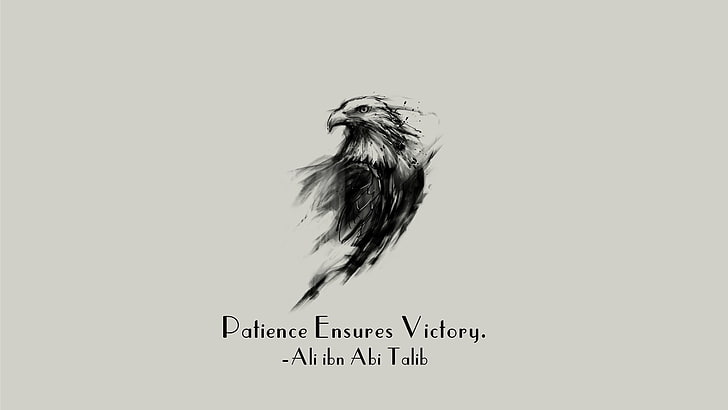 Терпение обеспечивает победу текст, Али ибн Аби Талиб, ислам, имам, цитата, орел, мотивация, HD обои