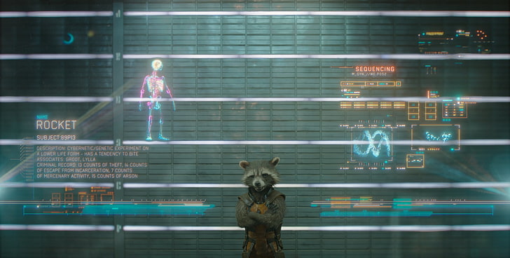 Film Gardiens de la galaxie Rocket Raccoon encore capture d'écran, merveille, gardien de la galaxie, gardiens de la galaxie, fusée raton laveur, Fond d'écran HD