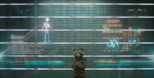 Film Gardiens de la galaxie Rocket Raccoon encore capture d'écran, merveille, gardien de la galaxie, gardiens de la galaxie, fusée raton laveur, Fond d'écran HD HD wallpaper