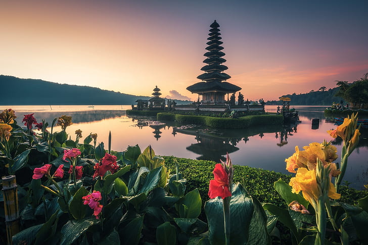water, flowers, Bali, temple, Kanna, HD wallpaper