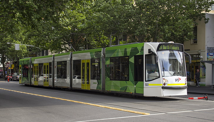 멜버른 d2 클래스 전차, 전차, 나무, 거리, 멜버른, HD 배경 화면