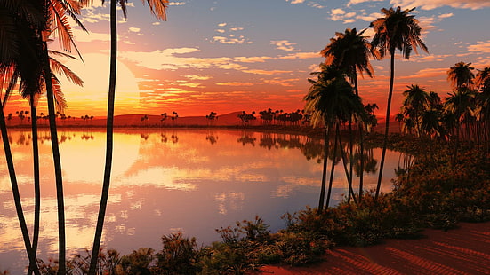 Sunset Oasis, เกาะ, ต้นปาล์ม, โอเอซิส, สวยงาม, โอเอซิสพระอาทิตย์ตก, พระอาทิตย์ตก, ชายหาด, เมฆ, 3 มิติและนามธรรม, วอลล์เปเปอร์ HD HD wallpaper