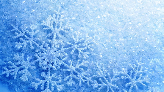 สีน้ำเงิน, น้ำค้างแข็ง, การแช่แข็ง, ฤดูหนาว, ท้องฟ้า, หิมะ, น้ำแข็ง, เกล็ดหิมะ, เกล็ดหิมะ, แวววาว, เย็น, วอลล์เปเปอร์ HD HD wallpaper