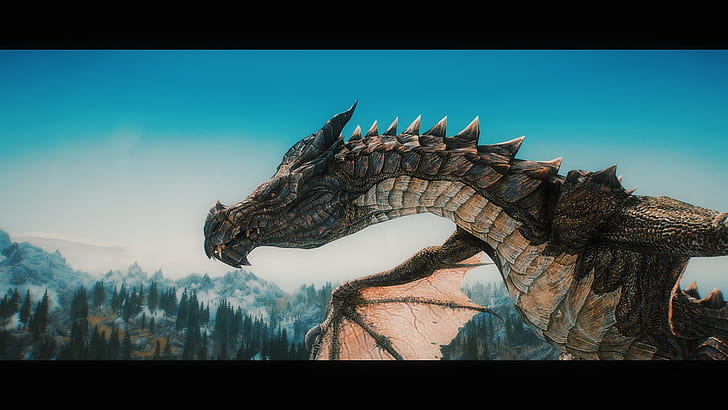 The Elder Scrolls V: Skyrim, dragon, Wyvern, video games, HD wallpaper