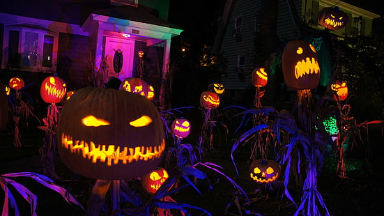 Halloween, lumière, Jack o Lantern, obscurité, néon, nuit, festival, un événement, minuit, amusement, Jack o lanterns, effrayant, Fond d'écran HD HD wallpaper