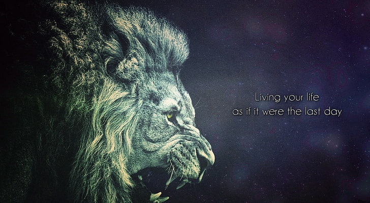Living Your Life as if it were the Last Day, grey lion illustration, Artistic, Typography, space, redekdesign, dream, HD wallpaper