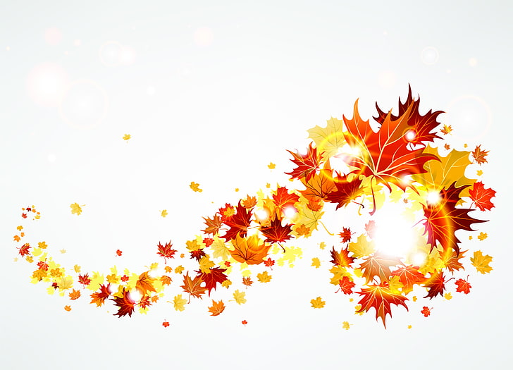 folhas de bordo marrom, outono, folhas, o vento, brilho, HD papel de parede