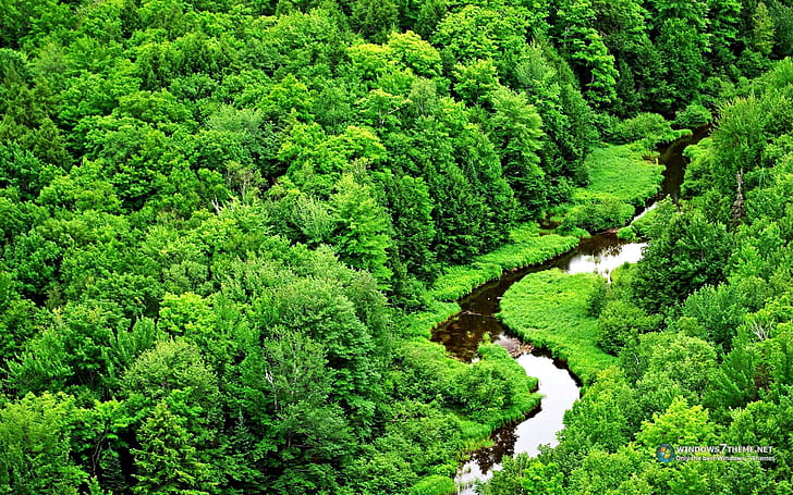 Lindo Mundo Verde, vida, agua, verde, arvores, natureza, nature and landscapes, HD wallpaper