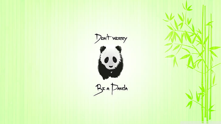panda, citação, animais, bambu, HD papel de parede