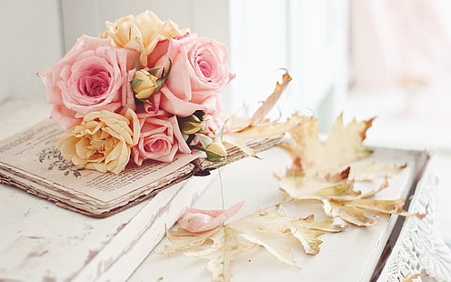 Розови розови цветя, листа, есен, розово, роза, цветя, листа, есен, HD тапет HD wallpaper