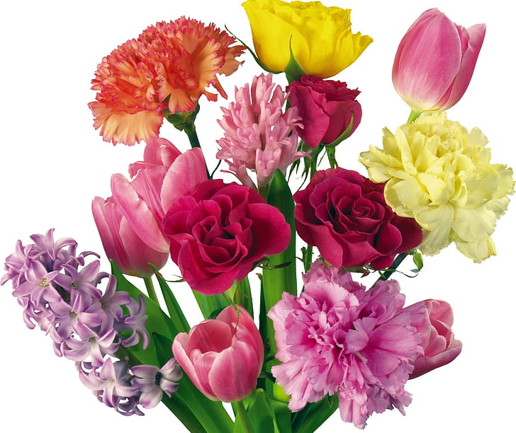 Carnations, Roses, Tulips, Flowers, Bouquet, HD wallpaper