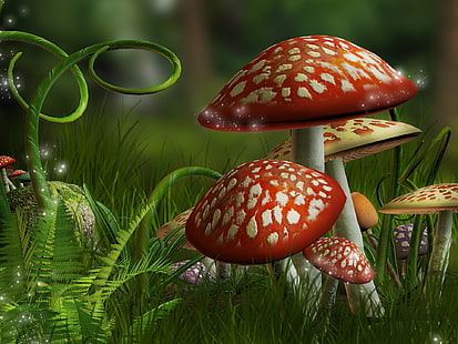 Artistic, Mushroom, Grass, Magical, HD wallpaper HD wallpaper