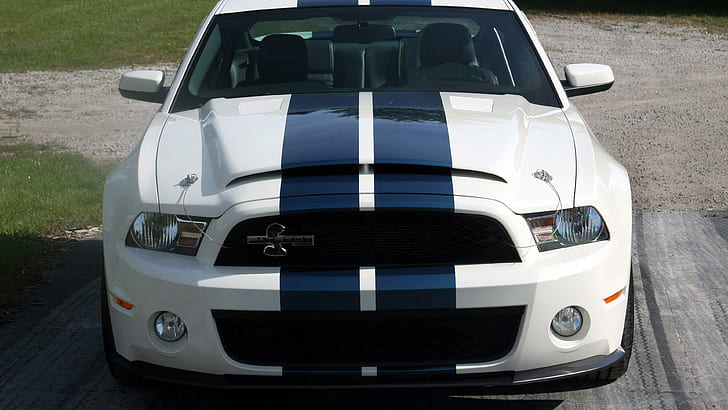 2010 Shelby GT 500, white car, cars, 3840x2160, ford, shelby, shelby mustang, HD wallpaper