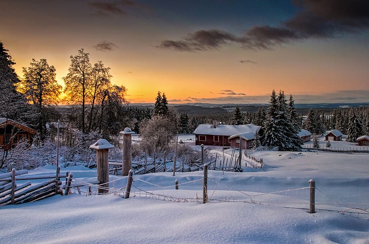winter, forest, nature, Norway, Lillehammer, HD wallpaper
