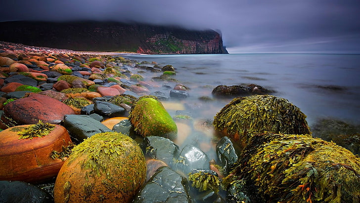 берег моря с красными и зелеными камнями, пейзаж, камни, Шотландия, пляж, облака, остров, утес, река, вода, водоросли, море, природа, HD обои