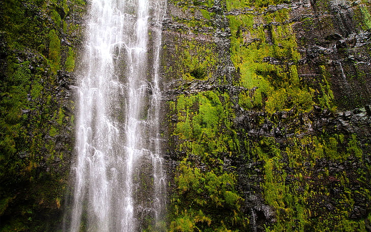 Waterfall Moss HD, nature, waterfall, moss, HD wallpaper