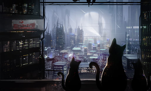 les chats, la nuit, la ville, Mammia, Fond d'écran HD HD wallpaper