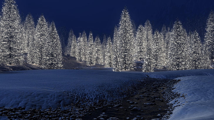 świąteczna dekoracja, zima, śnieg, niebieski, natura, choinka, niebo, drzewo, lampki choinkowe, światło, jodła, świerk, lód, mrożone, mroźny, noc, Tapety HD