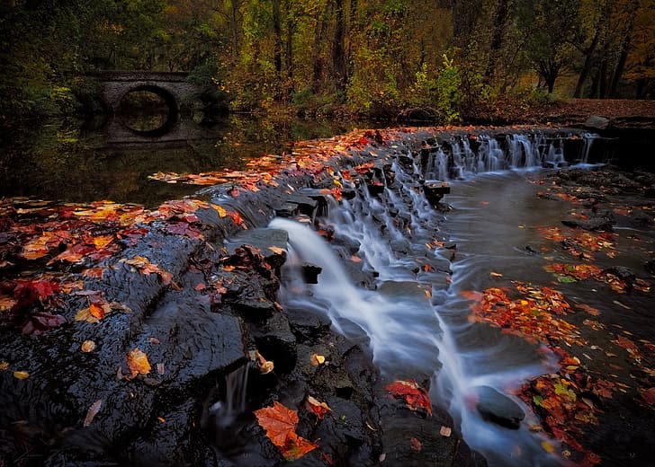 秋、森、橋、公園、川、滝、カスケード、オハイオ州、落ち葉、シャロンビル、シャロンウッズパーク、 HDデスクトップの壁紙