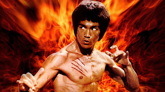 Bruce Lee, Película, Enter the Dragon, Bruce Lee, Artes marciales, Fondo de pantalla HD HD wallpaper