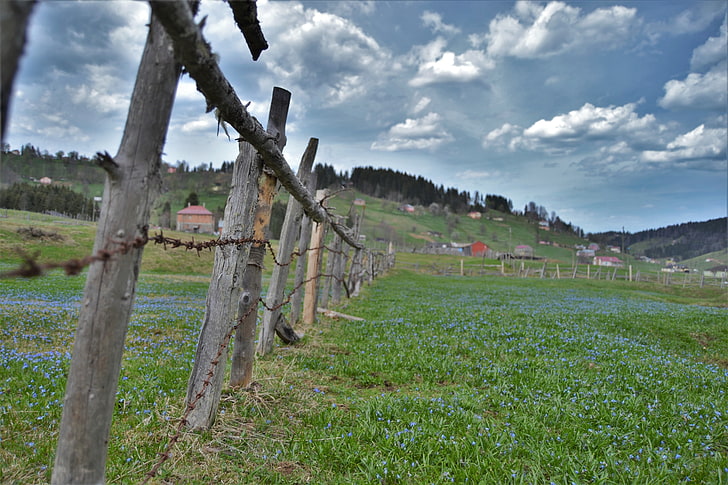 Sommer, Zaun, Bauernhof, Stacheldraht, Gras, HD-Hintergrundbild