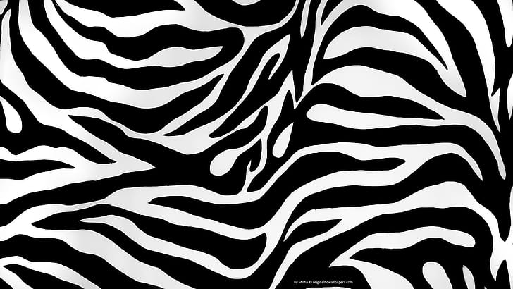 Zebra, Hewan, Kuda, Hitam Dan Putih, zebra, hewan, kuda, hitam dan putih, Wallpaper HD