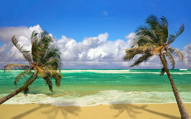 Beach Palms Ocean, praia, natureza, palmeiras, oceano, HD papel de parede