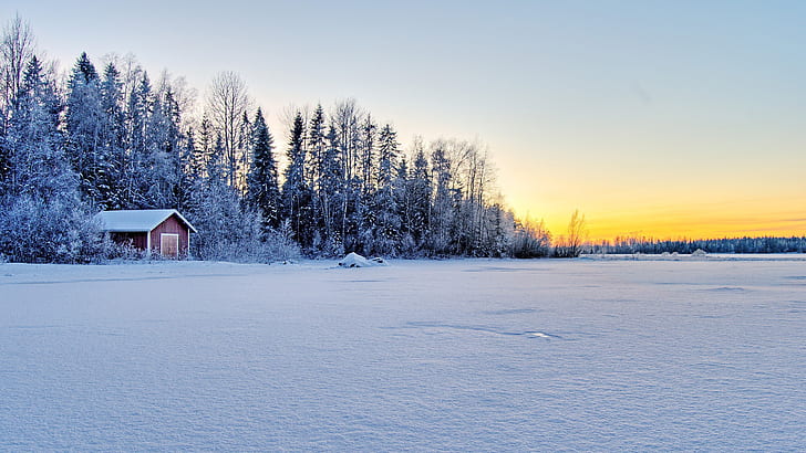 Haus-Kabinen-Schnee-Baum-Waldwinter HD, Natur, Bäume, Schnee, Wald, Winter, Haus, Kabine, HD-Hintergrundbild