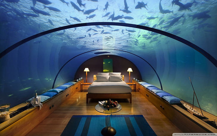 Underwater Bedroom, white mattress and four white pillows, swimming, underwater, architecture, photography, aquarium, blue, bedroom, fish, nature and landsca, HD wallpaper