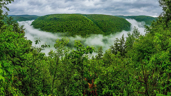 Densa Floresta Verde Rio Evaporação Nevoeiro Campo Céu com nuvens cinzentas Grand Canyon da Pensilvânia, HD papel de parede