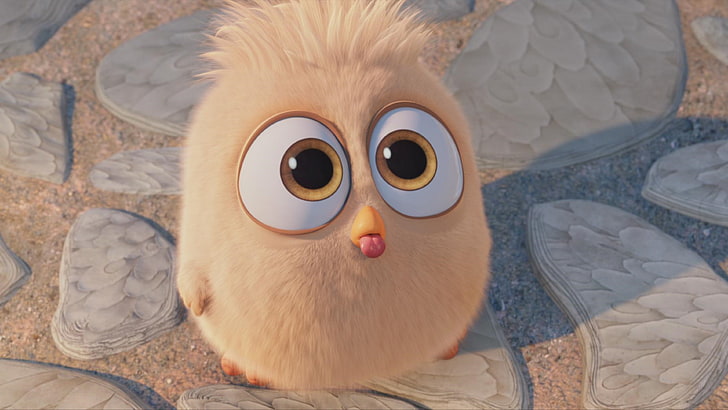 Angry Birds, Vögel, Filme, Animationsfilme, 2016 Filme, der Angry Birds-Film, HD-Hintergrundbild