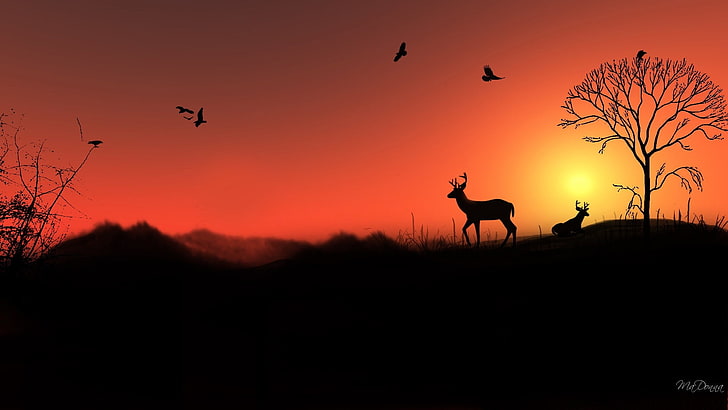 silhouette of man and woman, shadow, elk, HD wallpaper