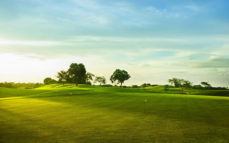 Golf course, green grass, trees, green grass field, Golf, Green, Grass, Trees, HD wallpaper