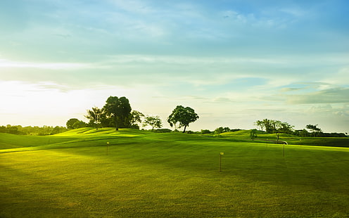 Golfbana, grönt gräs, träd, fält med grönt gräs, Golf, grönt, gräs, träd, HD tapet HD wallpaper