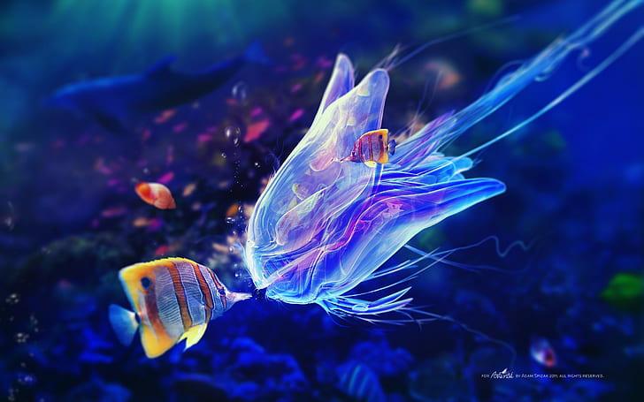 digital art, underwater, fantasy art, sea, Adam Spizak, bubbles, kissing, fish, HD wallpaper