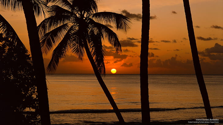 Island Sunset, Barbados, Islands, HD wallpaper
