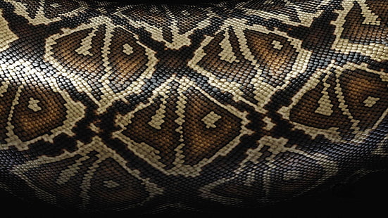 коричневый змеиный текстиль, змея, чешуя, узоры, текстура, HD обои HD wallpaper
