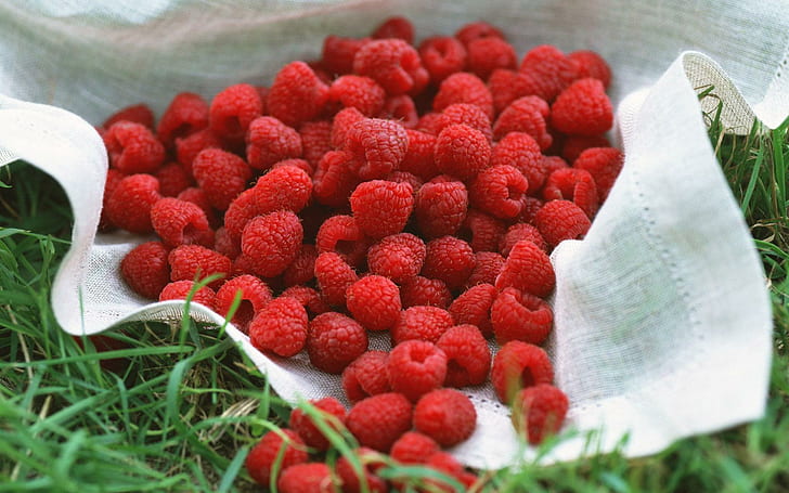 Raspberry on a cloth in the grass, raspberry, photography, 1920x1200, fruit, raspberry, HD wallpaper