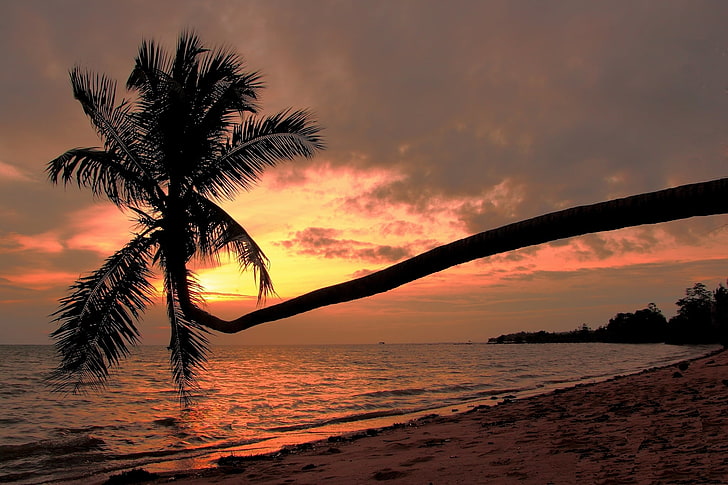playa, puesta de sol, Palma, costa, Tailandia, El Golfo de Tailandia, Golfo de Tailandia, Ko Phangan, Koh Phangan, Tailandia, Fondo de pantalla HD