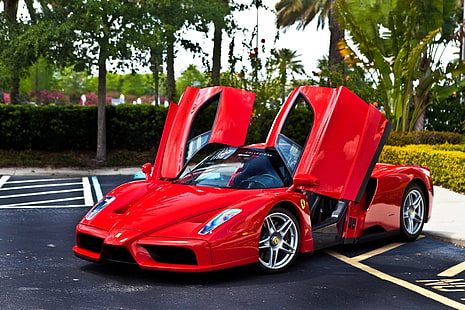Ferrari, Ferrari Enzo, Fondo de pantalla HD HD wallpaper