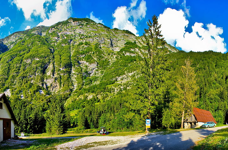 зелени листни дървета, Словения, планини, хижи, скъпи, ясно, сенки, HD тапет