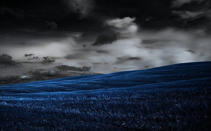 Blue Grass Clouds Colorsplash HD, zdjęcie z niebieskiej trawy, natura, niebieski, chmury, trawa, colorsplash, Tapety HD