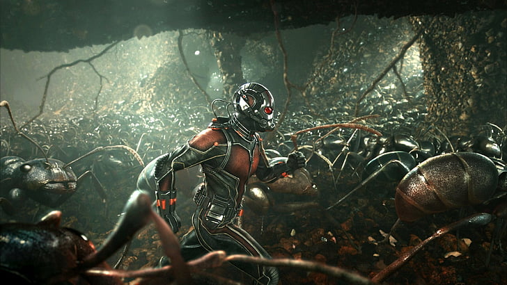 Movie, Ant-Man, HD wallpaper | Wallpaperbetter