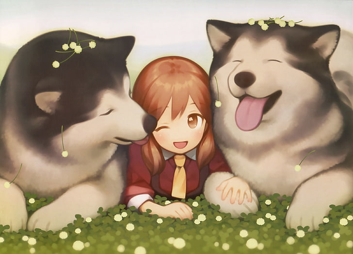 Hund, Brünette, braune Augen, Siberian Husky, HD-Hintergrundbild