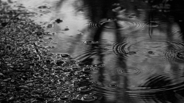 tetesan hujan, hujan, alam, Wallpaper HD