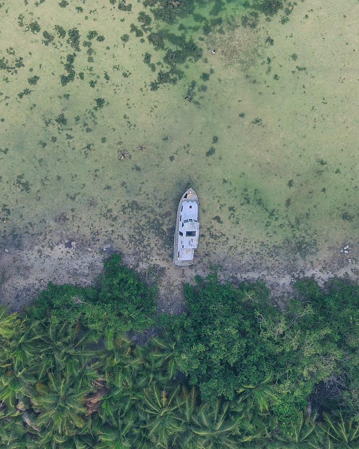 nature, boat, trees, HD wallpaper